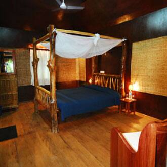 Wild Orchid, Havelock Island 3